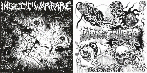 Carcass Grinder : Insect Warfare - Carcass Grinder